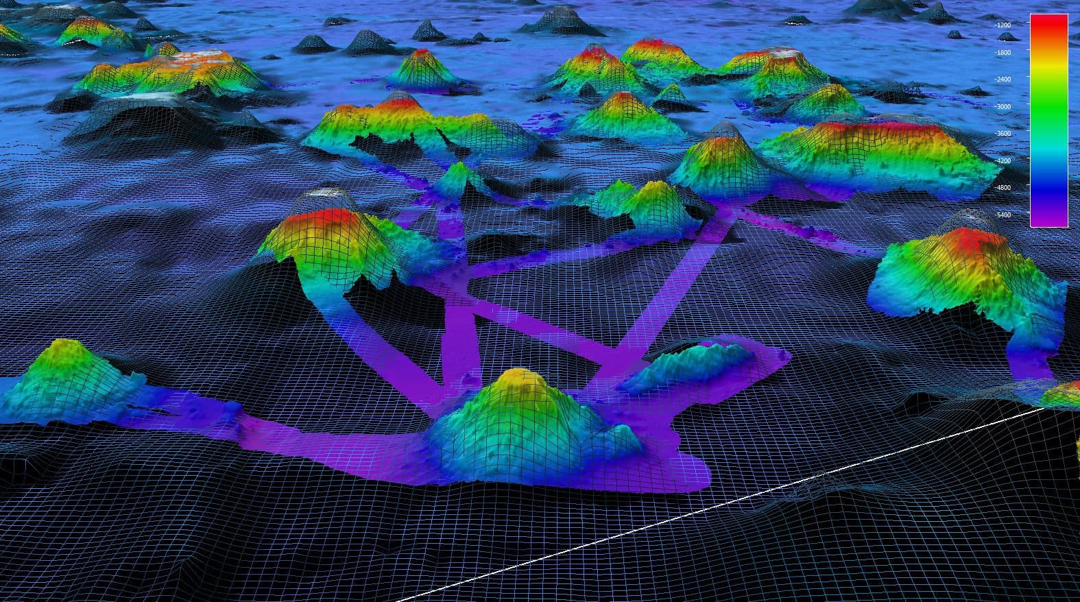 Seamounts rendered in colour from sonar data, rising above a dark wireframe grid showing the shape those same seamounts were predicted to have from satellite data