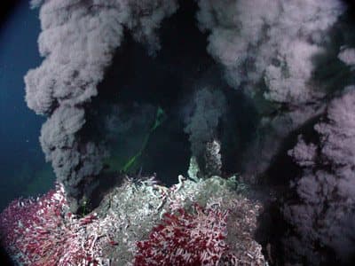 A hydrothermal vent chimney releasing dark mineral-rich plumes, its base colonised by dense pale and red vent fauna